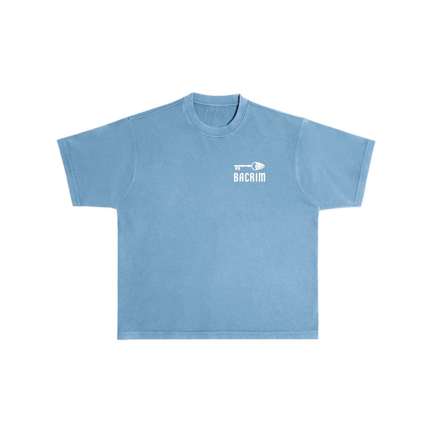 Pigment Dyed Logo Tee